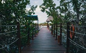 Bluebayou Bacalar